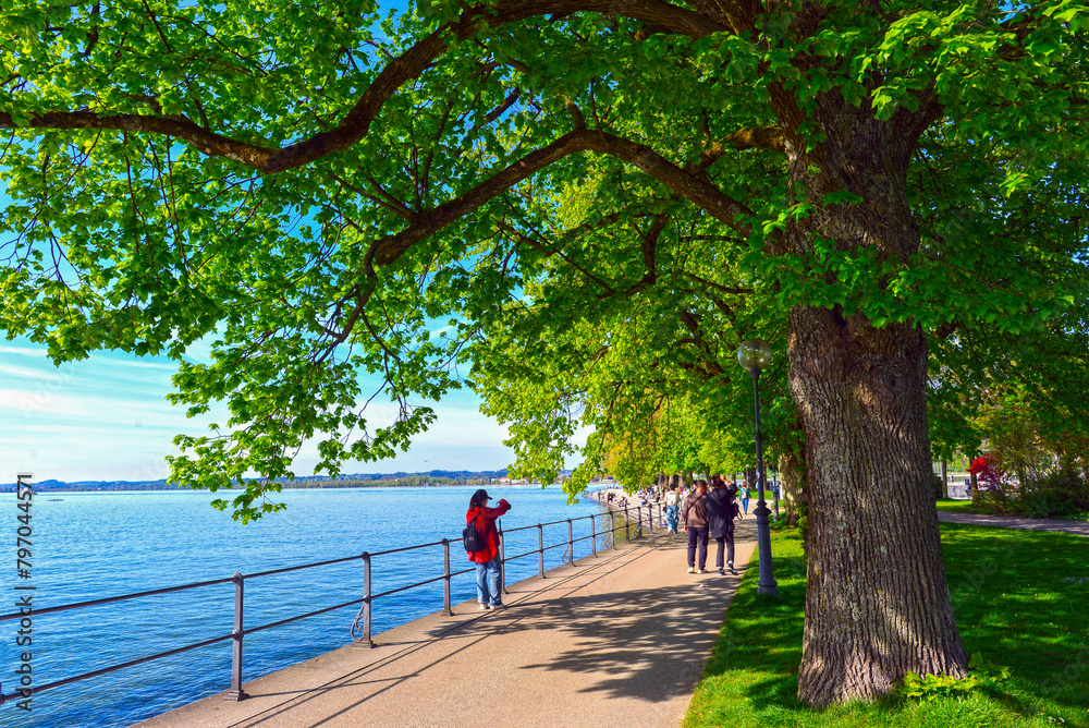 Seepromenade in Bregenz (Vorarlberg, Österreich)