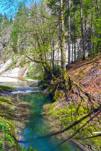 Die Obere Argen im Eistobel im Westallgäu (Bayern)