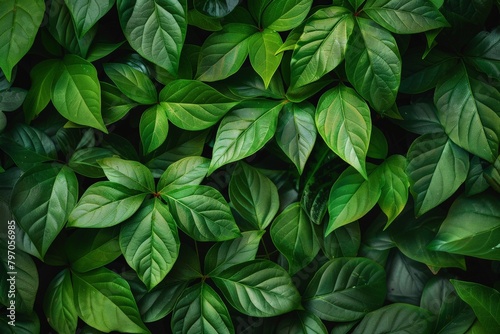 Macro close-up of a dark green leaf. Beautiful simple AI generated image in 4K, unique. © ArtSpree