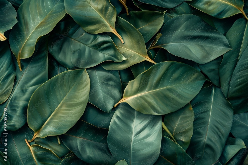 Fototapeta premium Close-Up Of Dark green leaves. Beautiful simple AI generated image in 4K, unique.