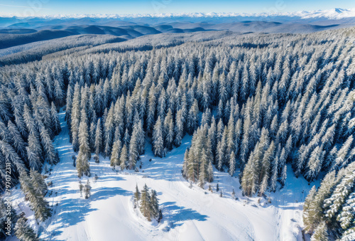 Drone photography of a dense pine forest blanketed in fresh snow. AI generated.