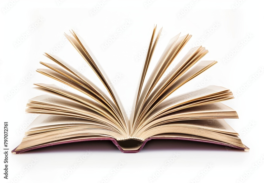 Open book on white background