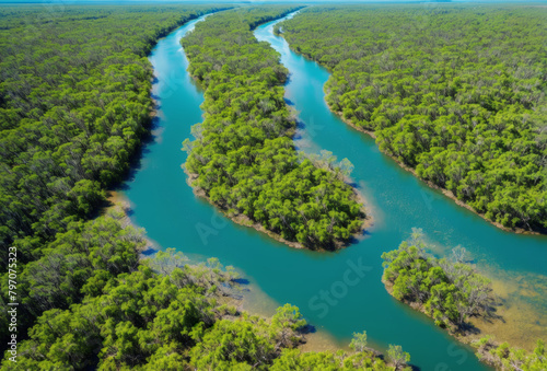 Aerial perspective of a winding river through a dense mangrove forest under clear blue skies. AI generated. © Petr