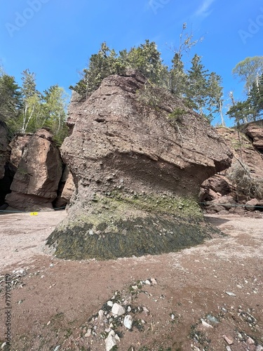 Coastal Treasures: Hopewell Rocks Provincial Park