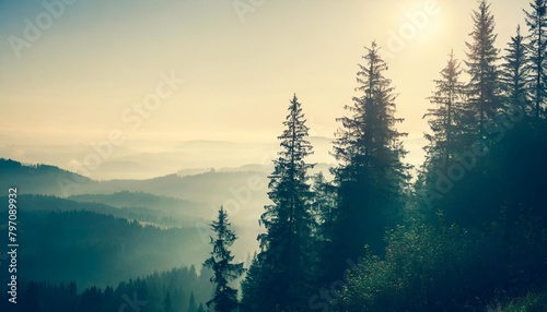 misty landscape with fir forest in hipster vintage retro style © Marcelo