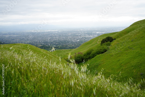 San Jose's skyline emerges faintly in the distance, framed by a vast expanse of lush green grassland—a juxtaposition of urban and natural beauty. photo