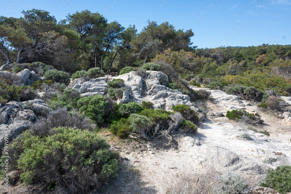 Fototapeta premium Sithonia coastline near Orange Beach, Chalkidiki, Greece