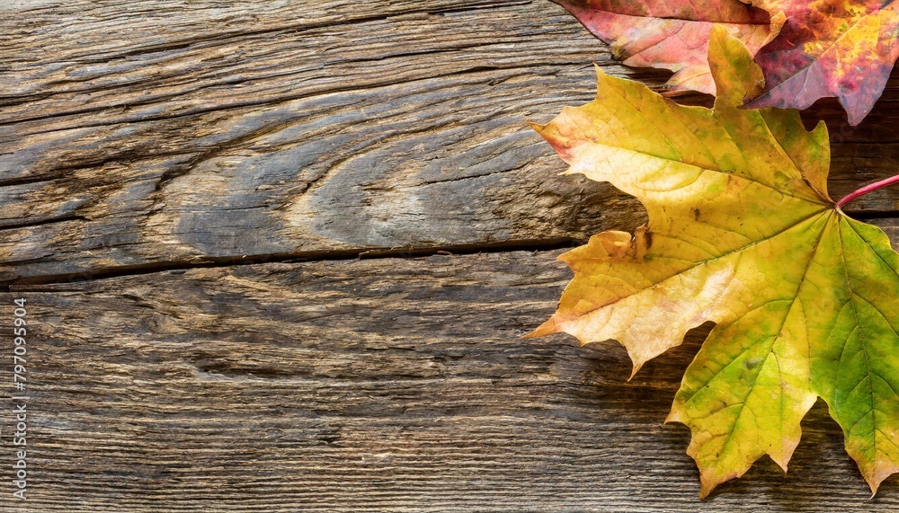 autumn background with maple leaves on antique barn wood