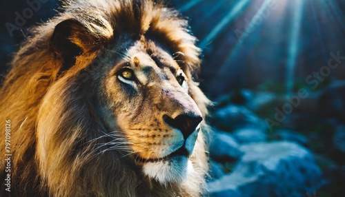 zodiac sign of leo lion head fantasy lights dark panorama horoscope generative ai