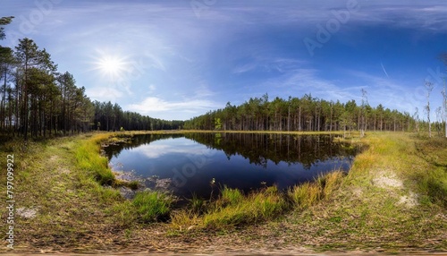 hdri environment map round panorama spherical panorama equidistant projection panorama 360 forest and swamp 3d rendering © Paris