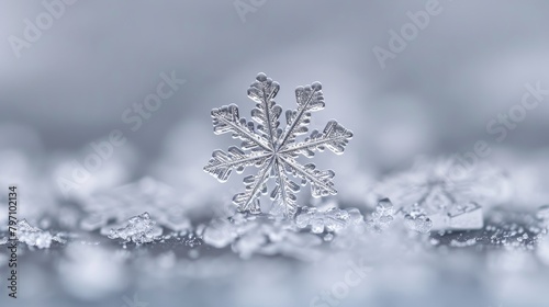 Exquisite snowflake crystal close-up on a frosty surface