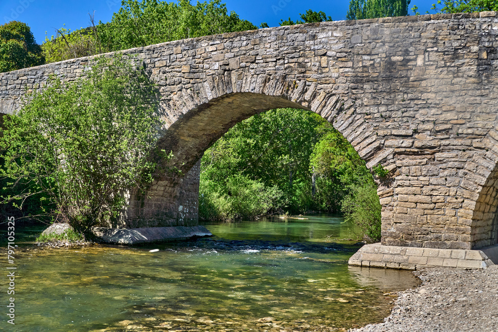 Stone bridge over tranquil river, surrounded by vibrant greenery, reflecting harmony between man-made and natural beauty