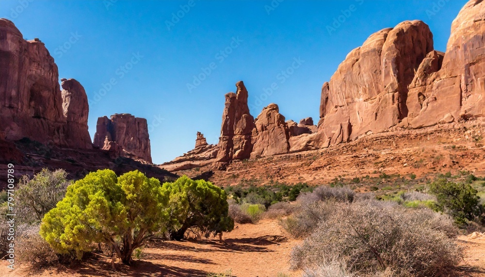 direct sunlight brings life to the garden of eden in arches national park