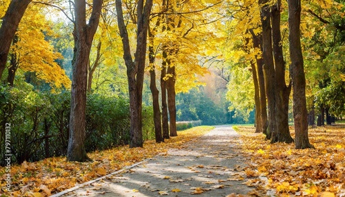 path in the autumn park