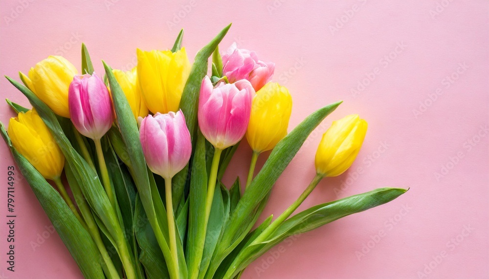 little girl holding a bouquet of tulips in front of a pink background little girl holding a bouquet of tulips in front of a pink background