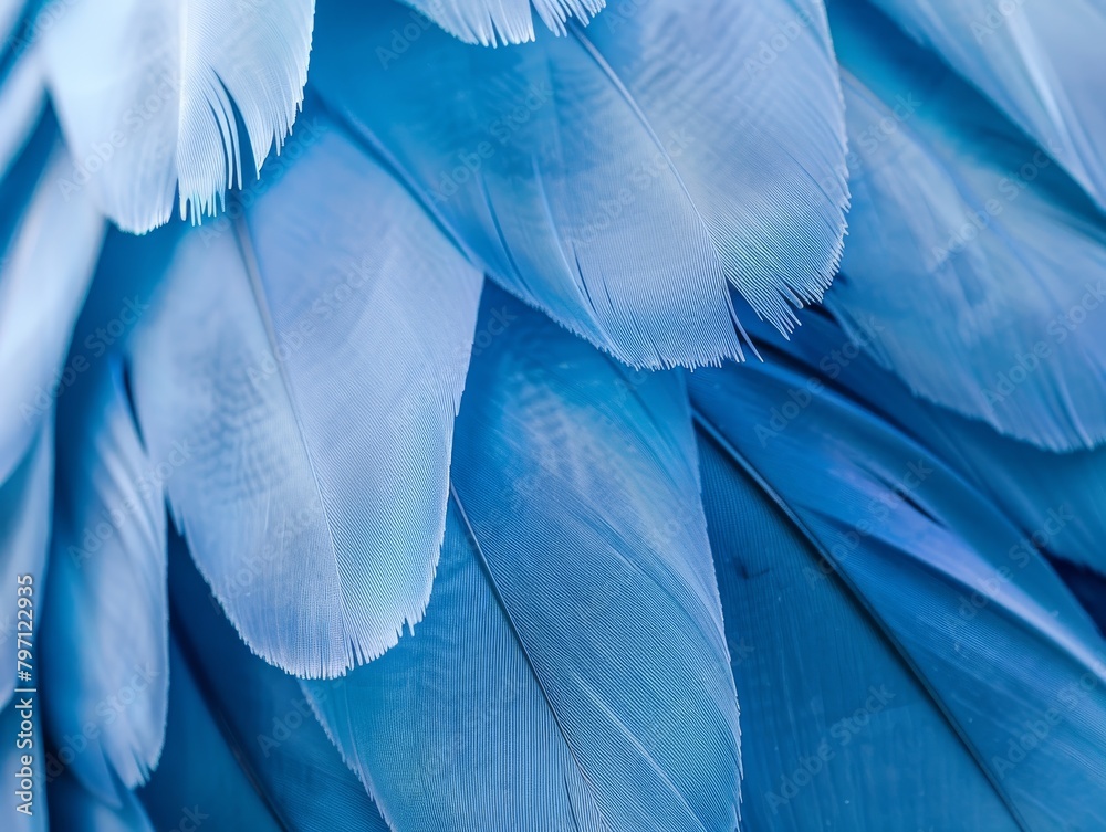 Naklejka premium Close-up of Blue Bird Feathers