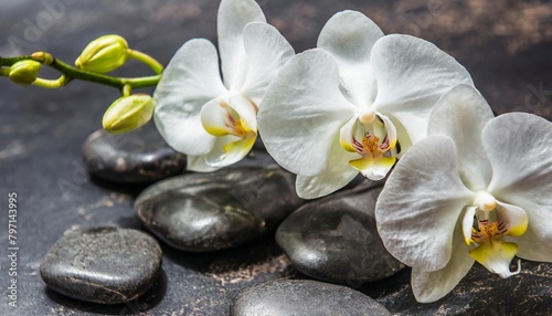 stones and a branch of white orchids
