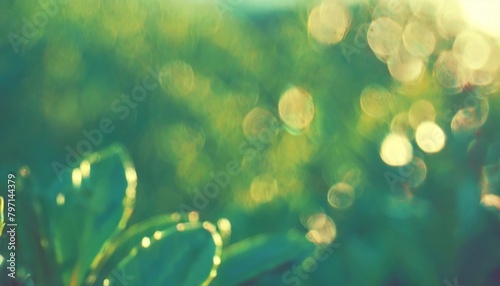 bokeh of tree leaves for nature background and save green concept soft and blur out of focus made with gradient and filter colored