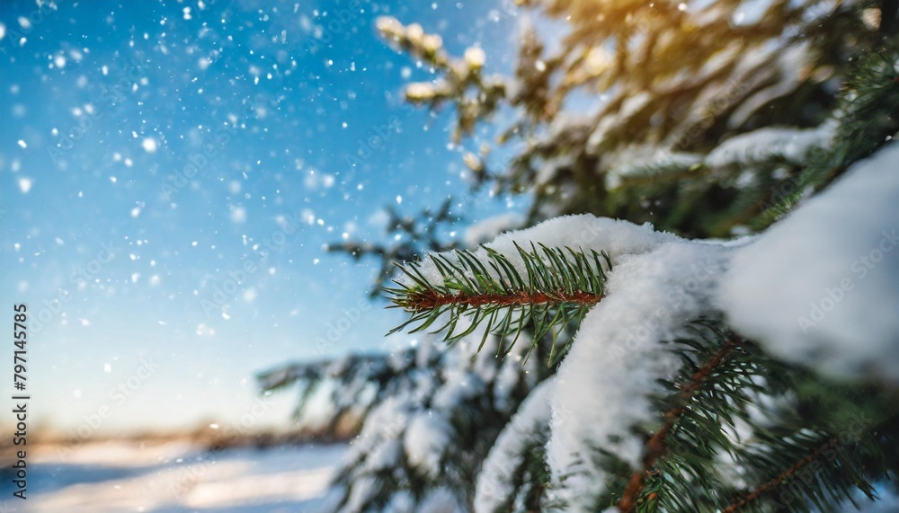 christmas tree branch with white snow christmas fir and pine tree branches covered with snow background of snow and blurred effect gently falling snow flakes against blue