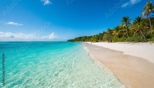 turquoise water in siesta key beach © Deven