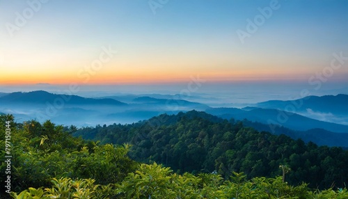 illustration of forest at the morning