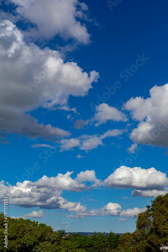 Beautiful landscape with blue sky and white clouds. Horizon line © Adilson