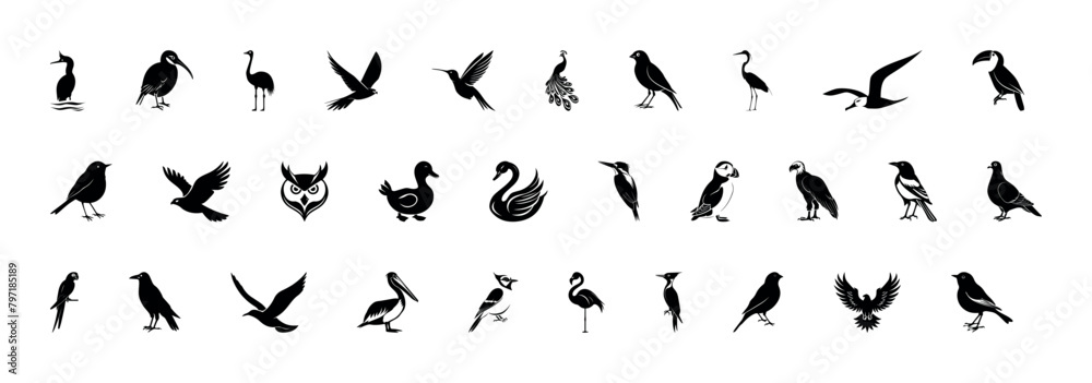 Set of black bird silhouettes. Vector elements for design. Detailed bird black silhouettes of different kinds. Albatross, Toucan, Kingfisher, Puffin, Vulture, Magpie, Cormorant, Kiwi, Ostrich, Canary Set of black bird silhouettes. Vector elements for design. Detailed bird black silhouettes of different kinds. Albatross, Toucan, Kingfisher, Puffin, Vulture, Magpie, Cormorant, Kiwi, Ostrich, Canary
