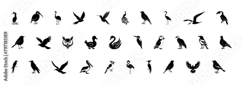 Set of black bird silhouettes. Vector elements for design. Detailed bird black silhouettes of different kinds. Albatross, Toucan, Kingfisher, Puffin, Vulture, Magpie, Cormorant, Kiwi, Ostrich, Canary
