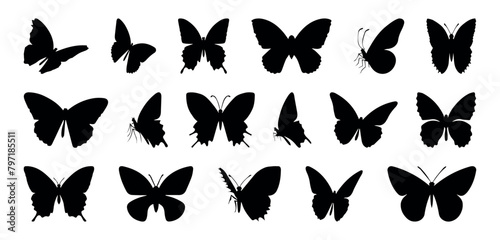 Flying butterflies silhouette black set isolated on transparent background. Set of butterflies, ink silhouettes. Glowworms, fireflies and butterflies icons isolated on white background. Hand drawn  photo