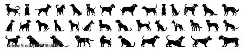 Set of  black silhouettes of a dog, vector, isolated collection. Dogs group standing or sitting of different breed. Dog breeds silhouettes, simple style clipart. Companion and toy dogs collection photo
