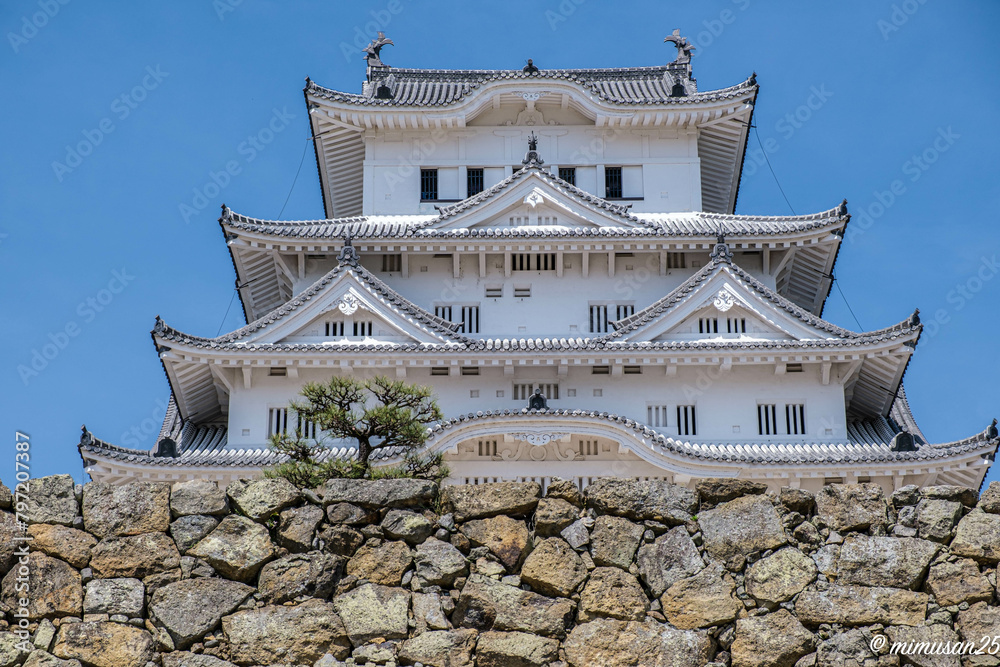 桜の季節 国宝・世界遺産 姫路城 桜の季節 国宝・世界遺産 姫路城