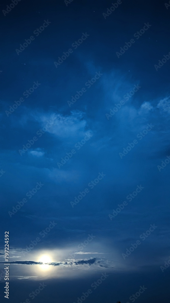 Vertical dark blue night landscape with dramatic moon and small dark clouds. Vertical dark blue night landscape with dramatic moon and small dark clouds.