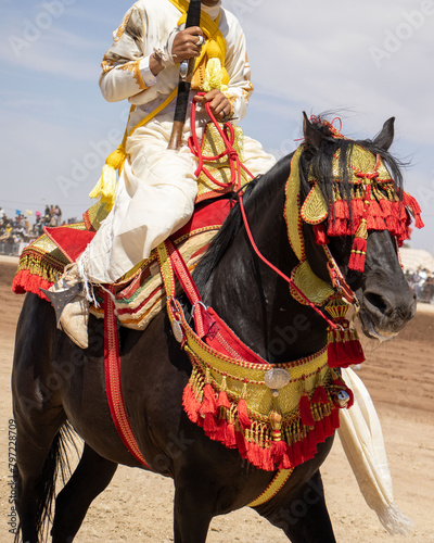 Equestrian Majesty in Morocco - Traditional Tbourida Attire in Detail © Azedine