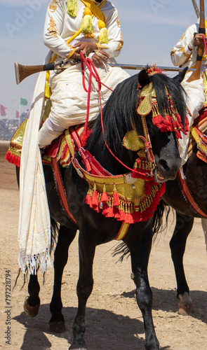 Equestrian Majesty in Morocco - Traditional Tbourida Attire in Detail © Azedine
