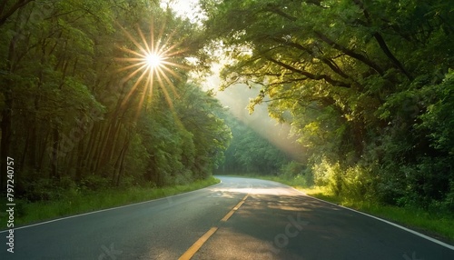 Summer road, forest, nature, sunny and clear day. Travel, relax and adventure concept