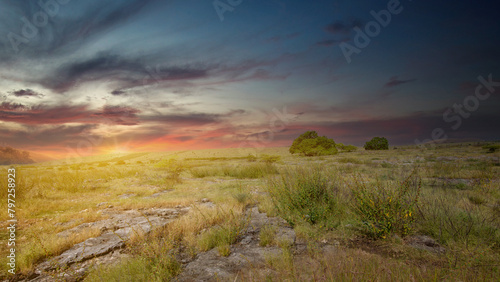 Meadow field with landscape view