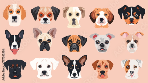 Small Breeds of Dogs Faces collection. Vector illustration