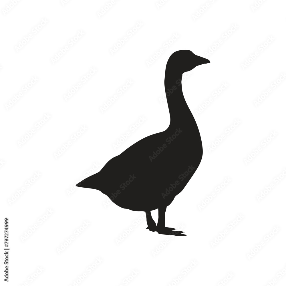 Duck Silhouette Flat Icon Duck Silhouette Flat Icon
