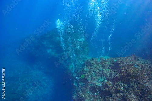 巨大なサンゴ群生を泳ぐスキューバダイバーたちとバブル。スキンダイビングポイントの底土海水浴場。 航路の終点、太平洋の大きな孤島、八丈島。 東京都伊豆諸島。 2020年2月22日水中撮影。Scuba divers and bubbles swimming in a huge coral colony.Sokodo Beach, a skin diving point. Izu Islan