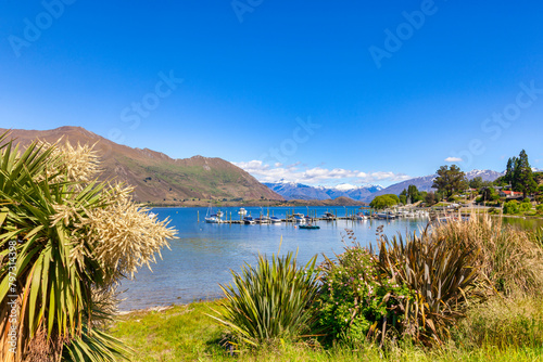 Lake Wanaka New Zealand, with cabbage tree in flower