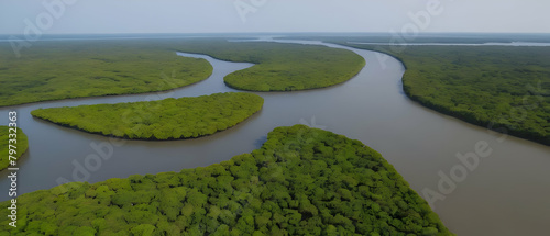 Panorama of Beautiful aerial landscape of river junction in mangrove forest