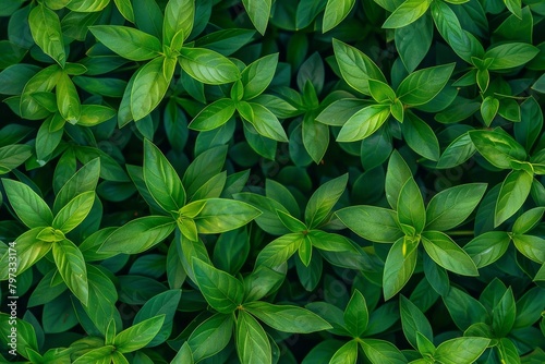 Full frame of vibrant green leaves in a seamless pattern