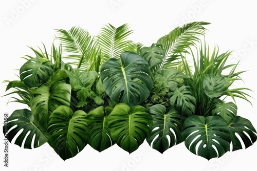 Jungle plant clipart vegetation nature green.