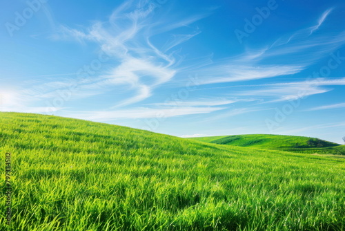 Smooth meadow on the hill with blue sky, beautiful landscape © waranyu
