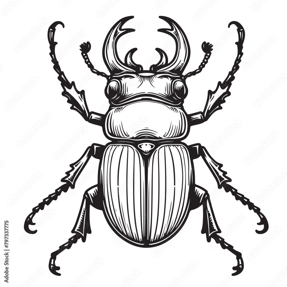 Line art of beetle cartoon vector illustration Line art of beetle cartoon vector illustration
