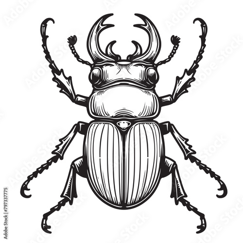 Line art of beetle cartoon vector illustration