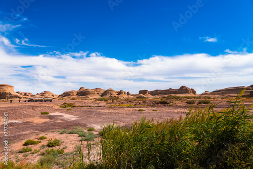 Danxia, Karamay Devil City, Xinjiang, China photo