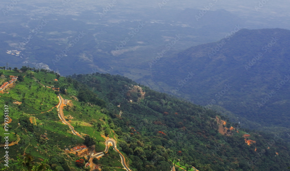 panorama of lush green nilgiri mountain foothills and terrace field, tea garden of coonoor near ooty hill station in tamilnadu, south india
