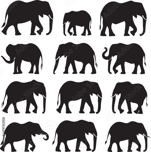 set of elephant