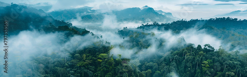 Foggy landscape in the jungle. Fog and cloud mountain photo